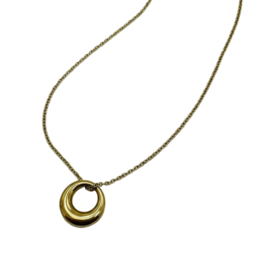Gold necklace with a circular pendant on a light gray background